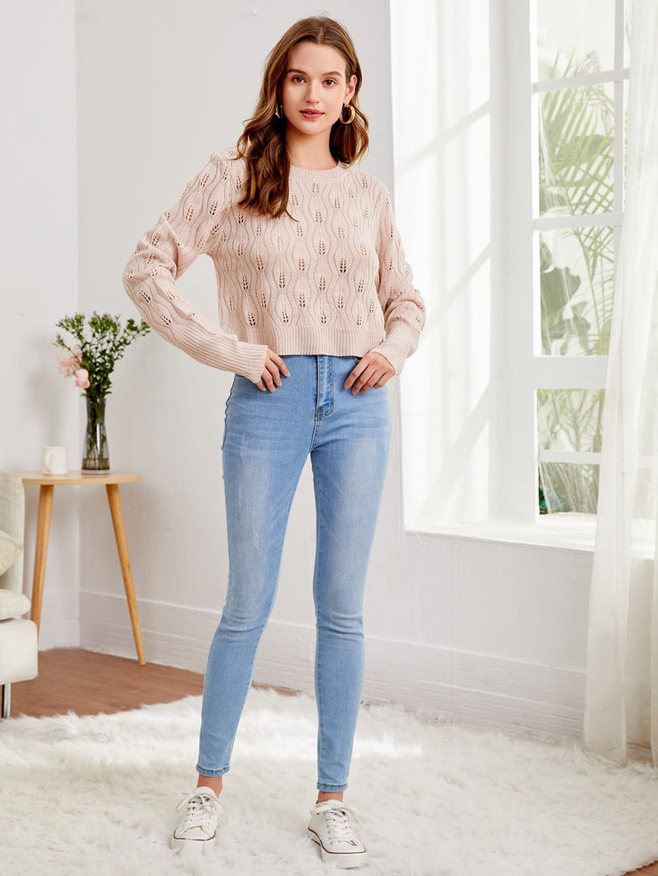 Pointelle Knit Solid Crop Sweater
